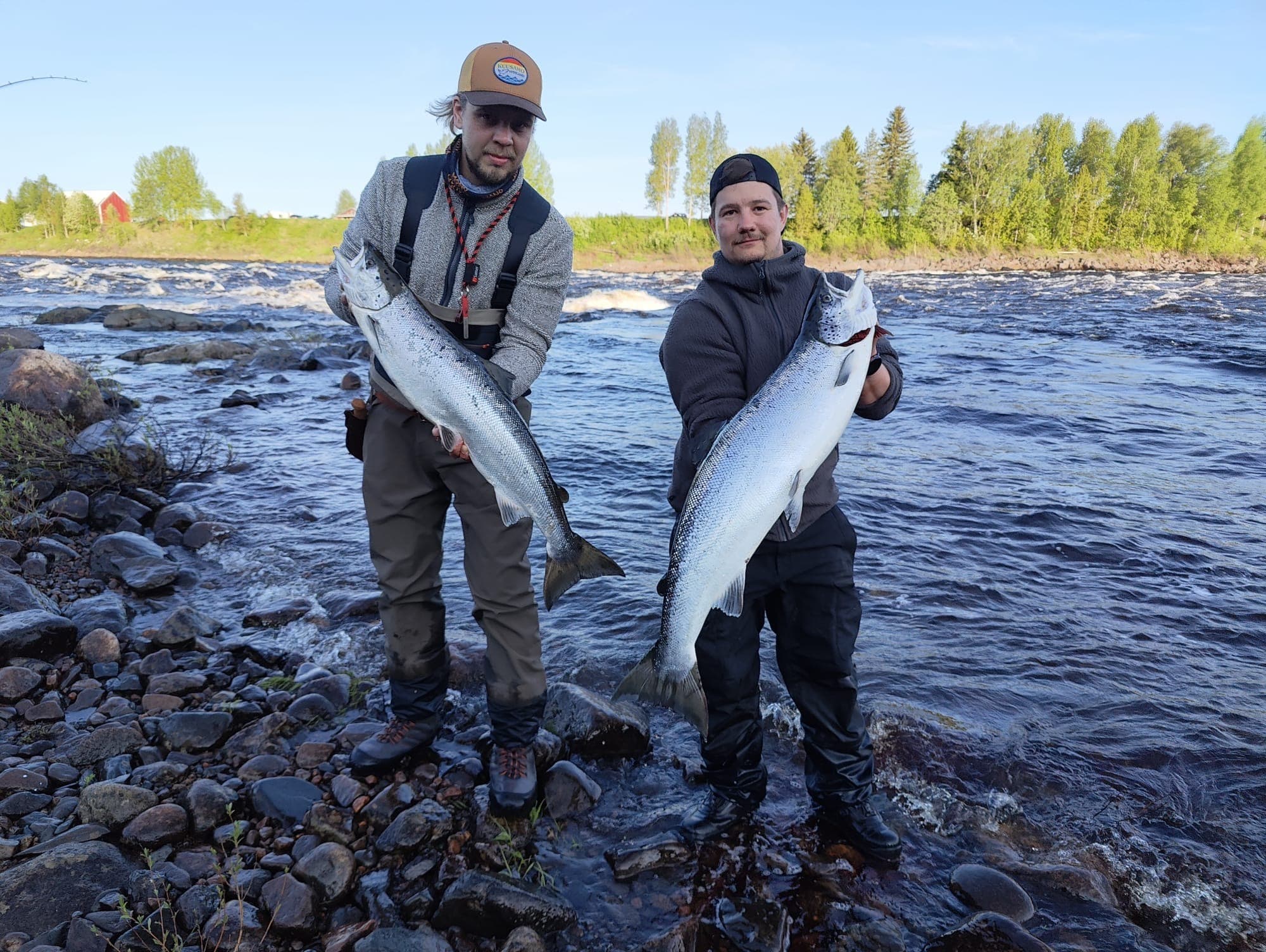 Guided Salmon Rowing on the Tornionjoki River 2