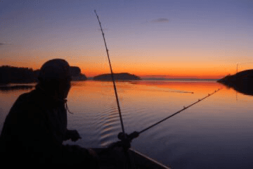 Guided Perch and Zander Fishing in the Parainen Archipelago