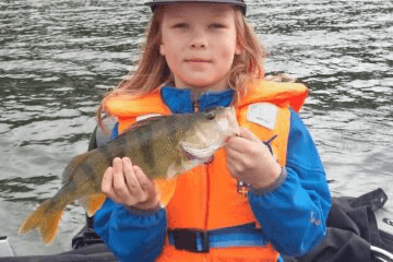 Guided Perch and Zander Fishing in the Parainen Archipelago 2
