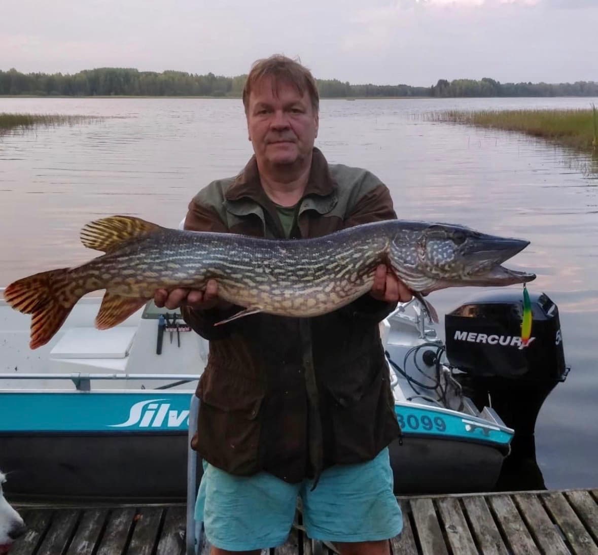 Pike casting in the Höytiäinen archipelago – a 7-hour guided fishing experience