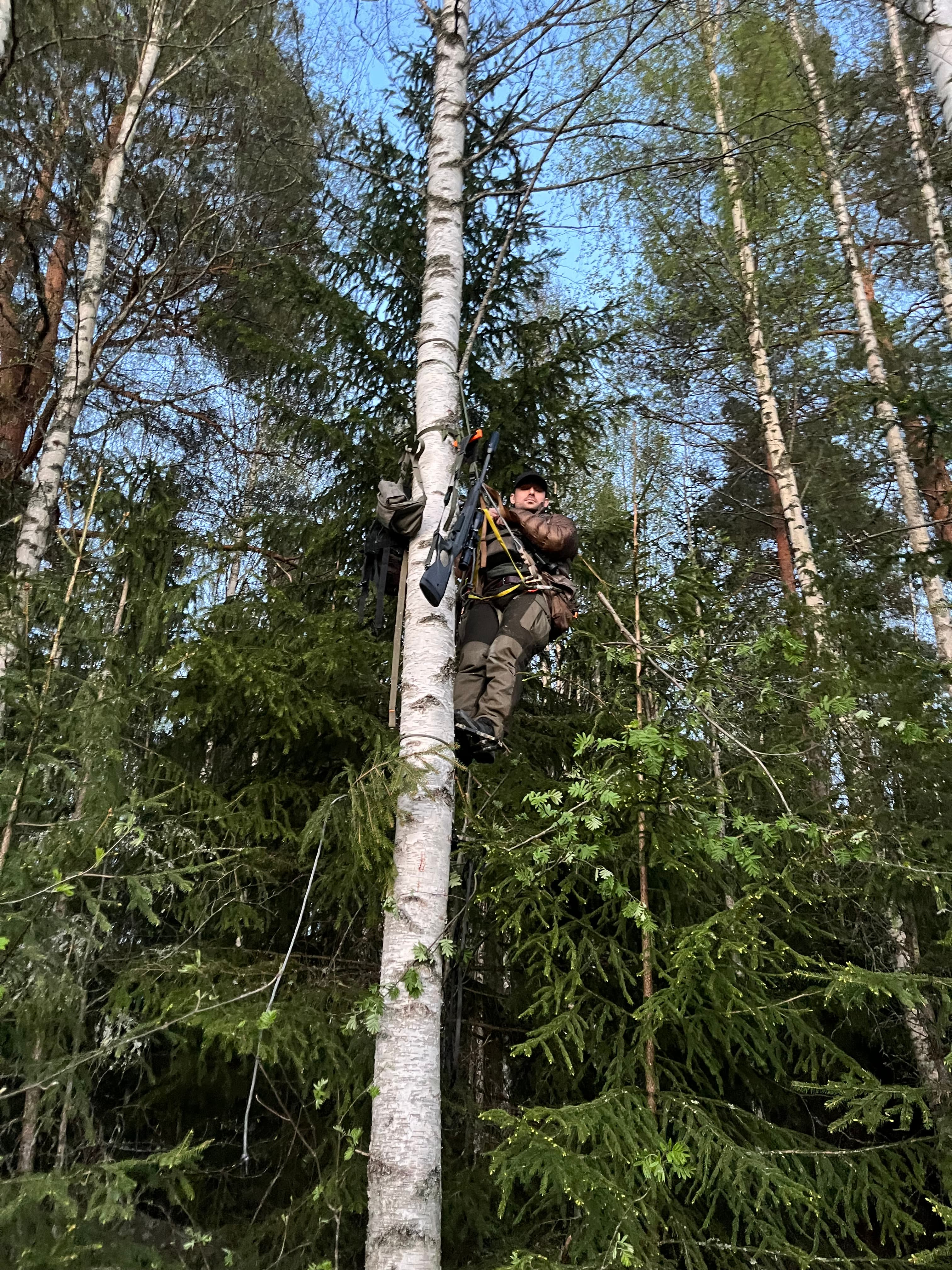 Hiukkamäki Huittinen Finland