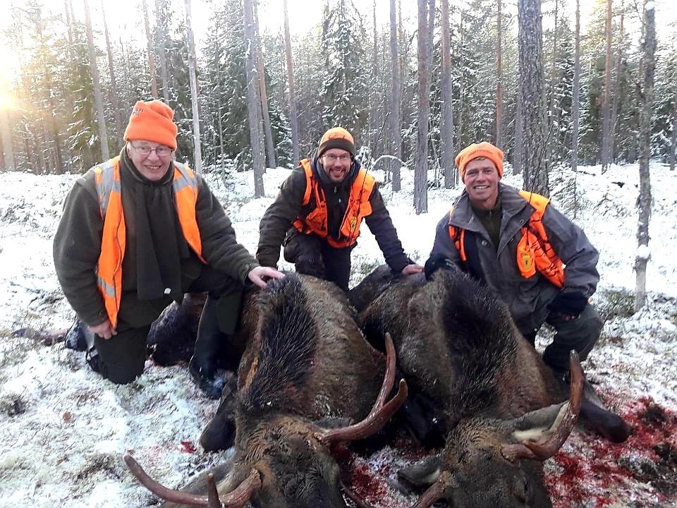 Guided Moose Hunting in Viitasaari 2