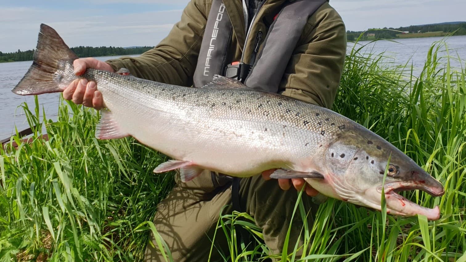 Private Baltic Salmon Fishing experience