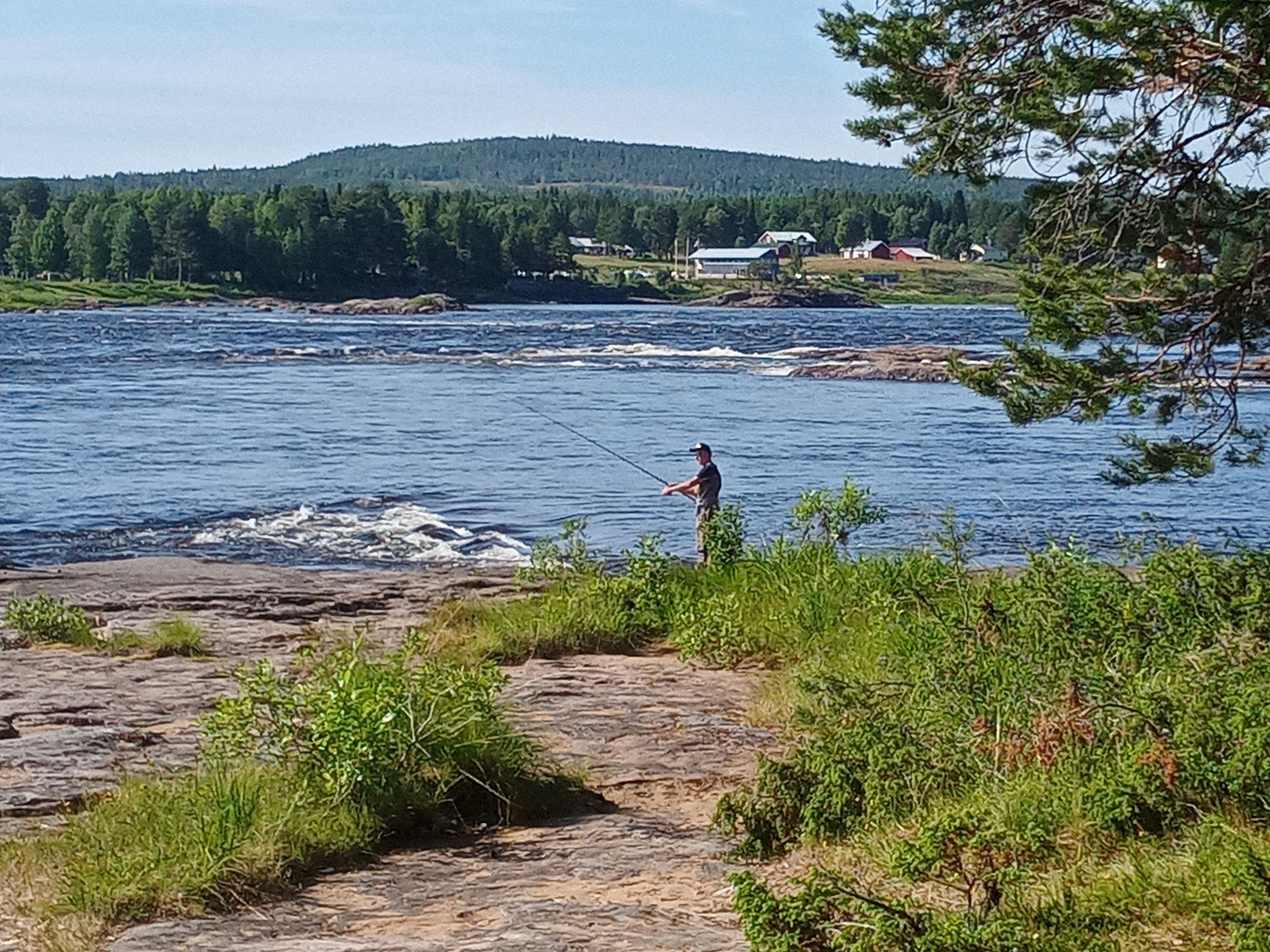 Private Baltic Salmon Fishing experience 2