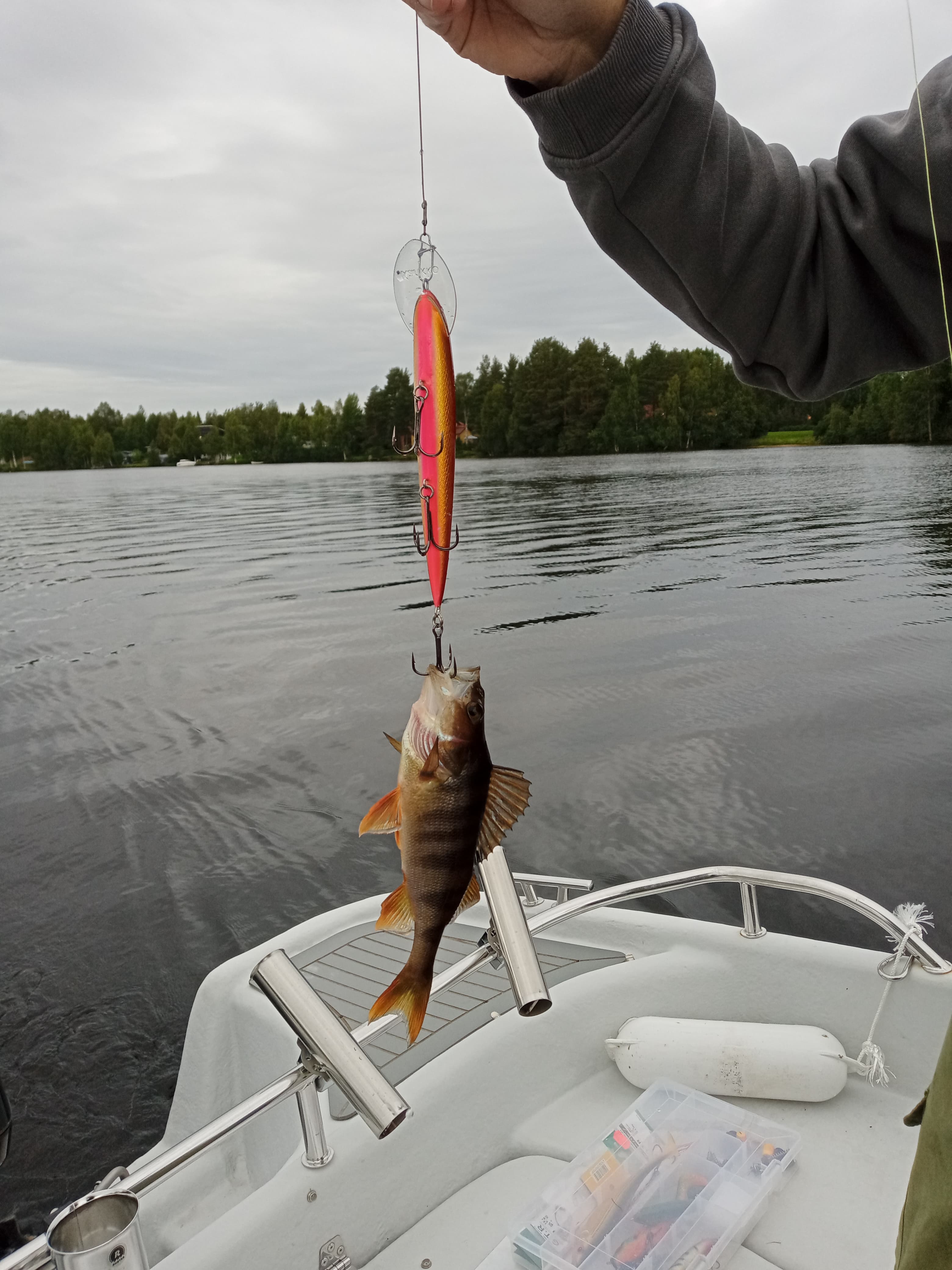 Private Fishing Experience of Northern Pike, Rovaniemi, Lapland, Finland 6
