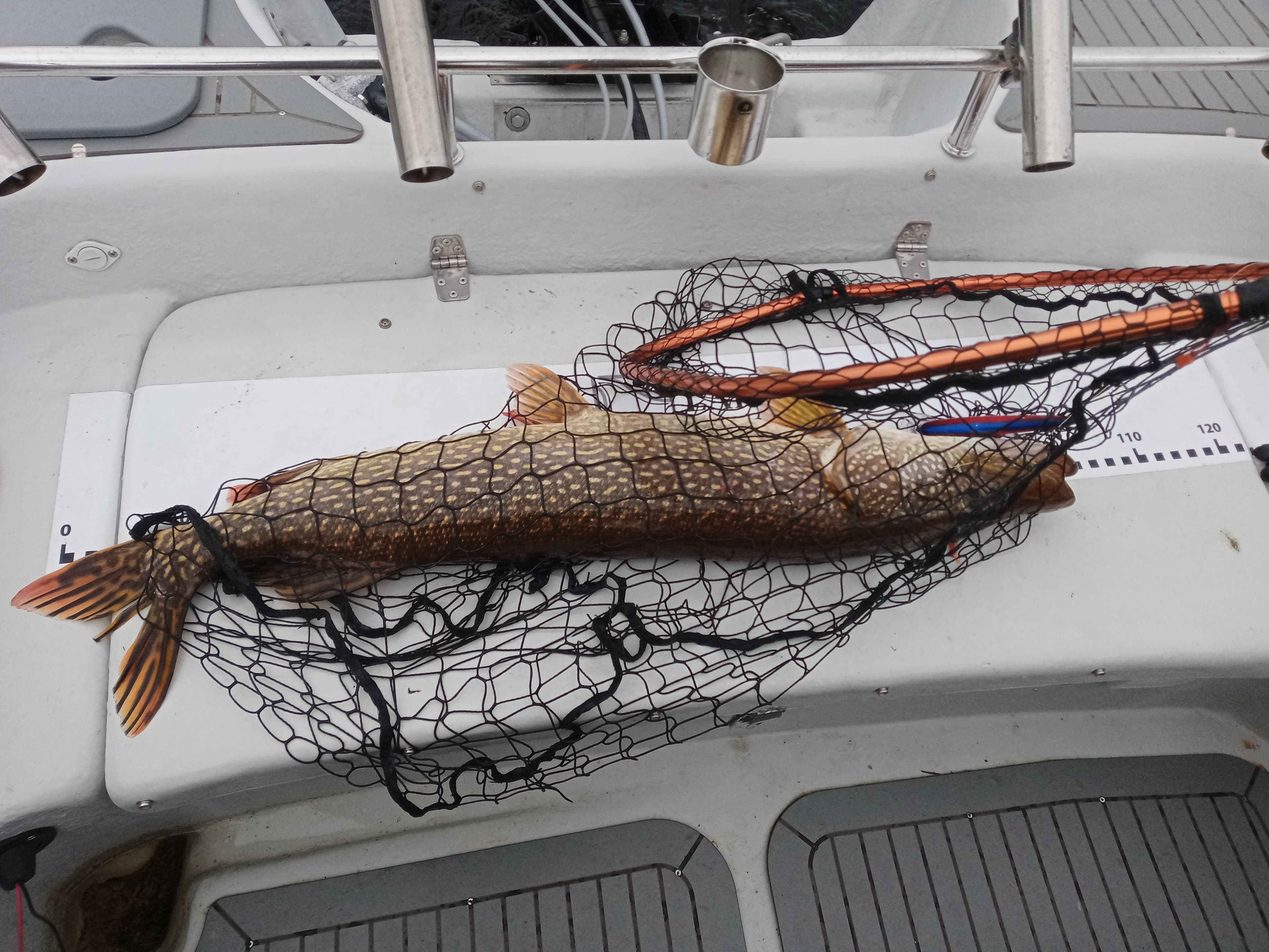 Private Fishing Experience of Northern Pike, Rovaniemi, Lapland, Finland 4
