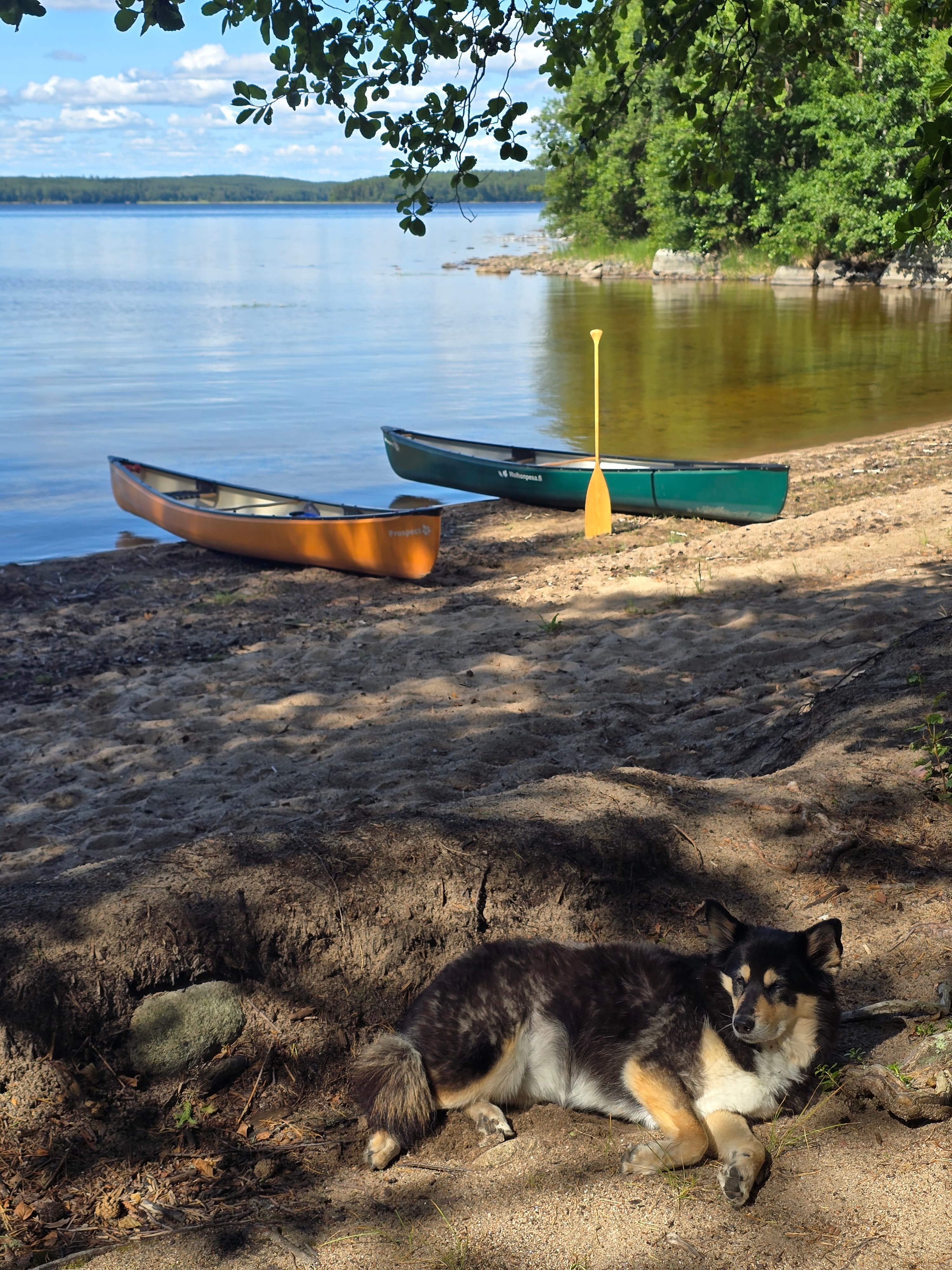 Canoeing in Etelä-Konnevesi National Park 2