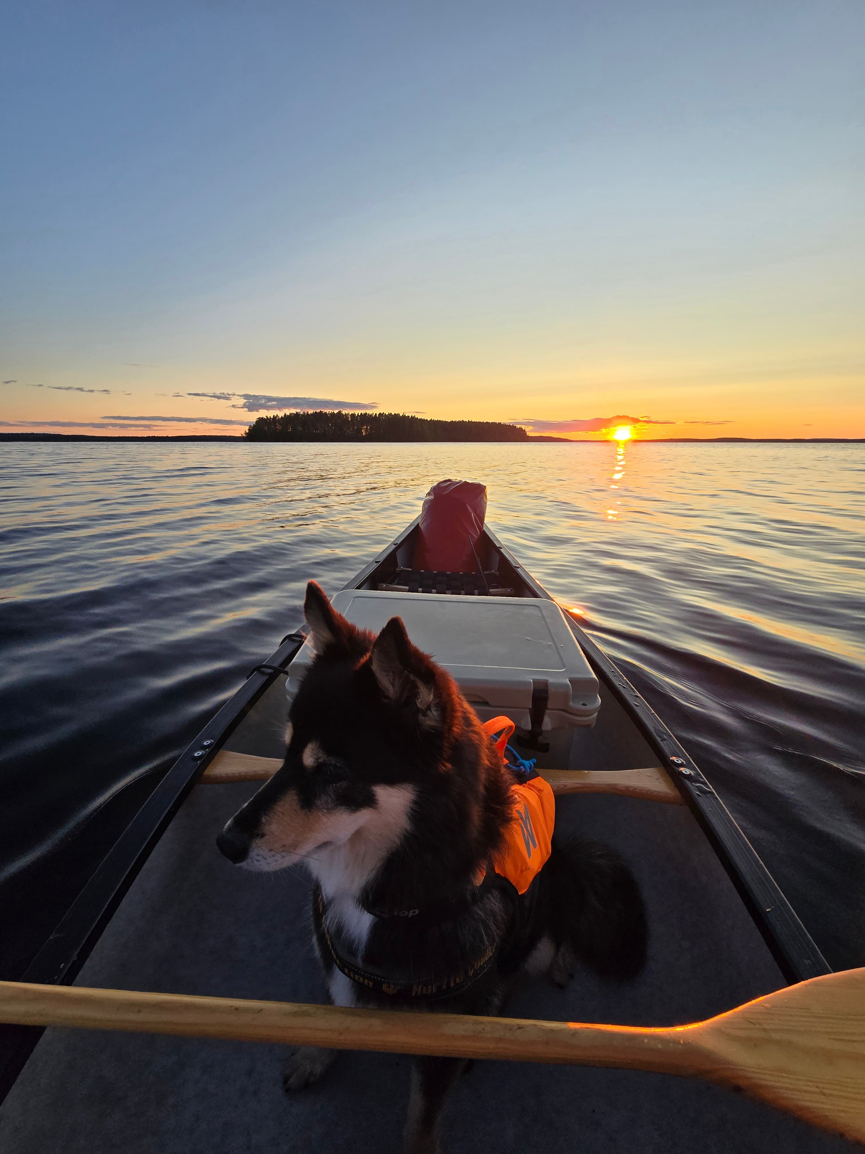 Canoeing in Etelä-Konnevesi National Park 3
