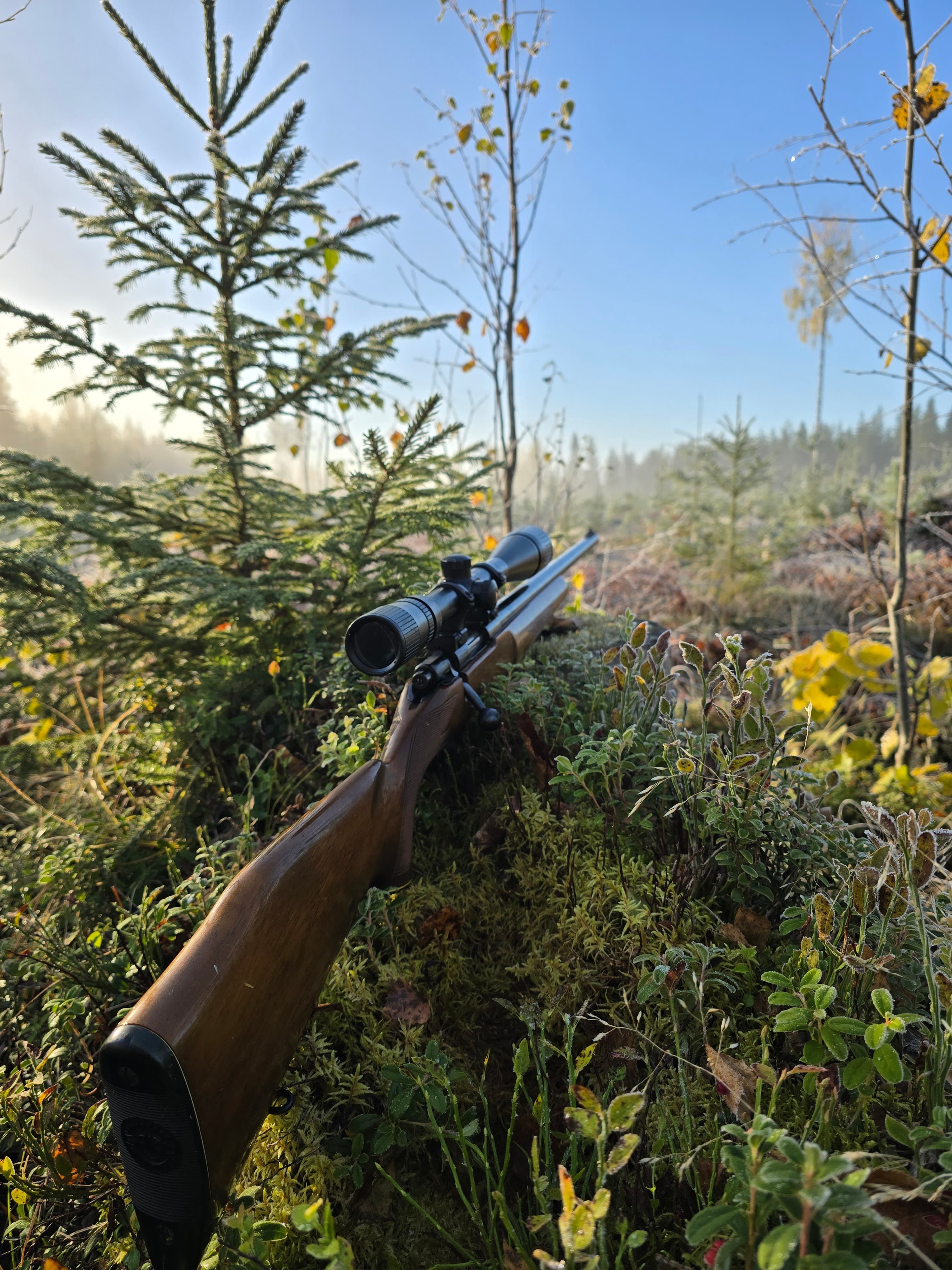 Guided Grouse Hunting in Viitasaari 6