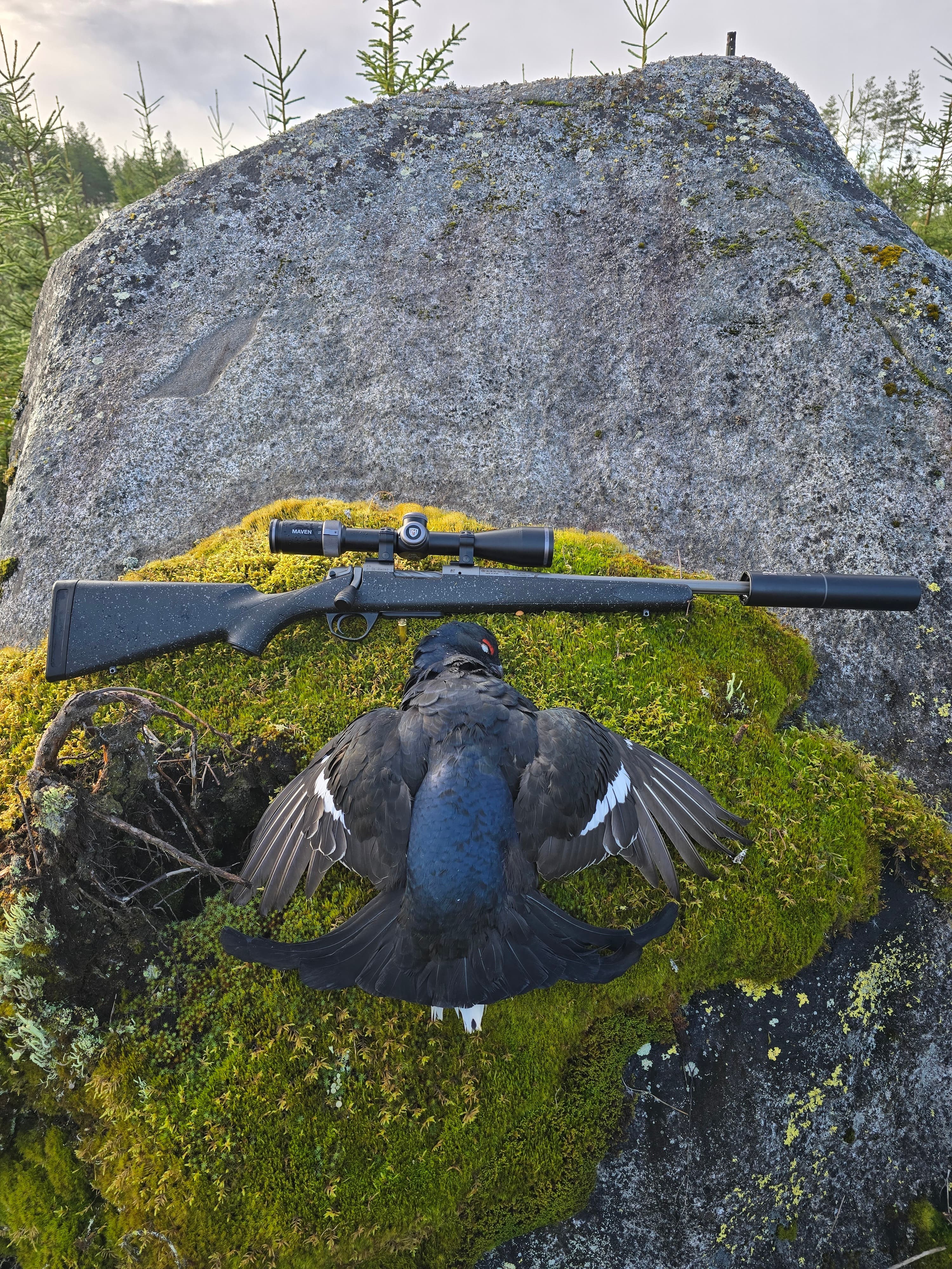 Guided Grouse Hunting in Viitasaari 4
