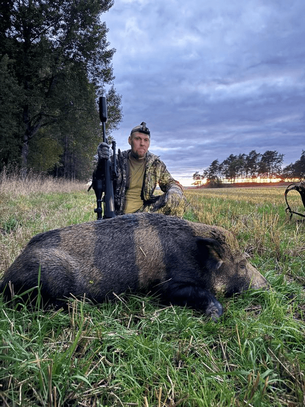 Wild Boar Hunting in Sweden 5