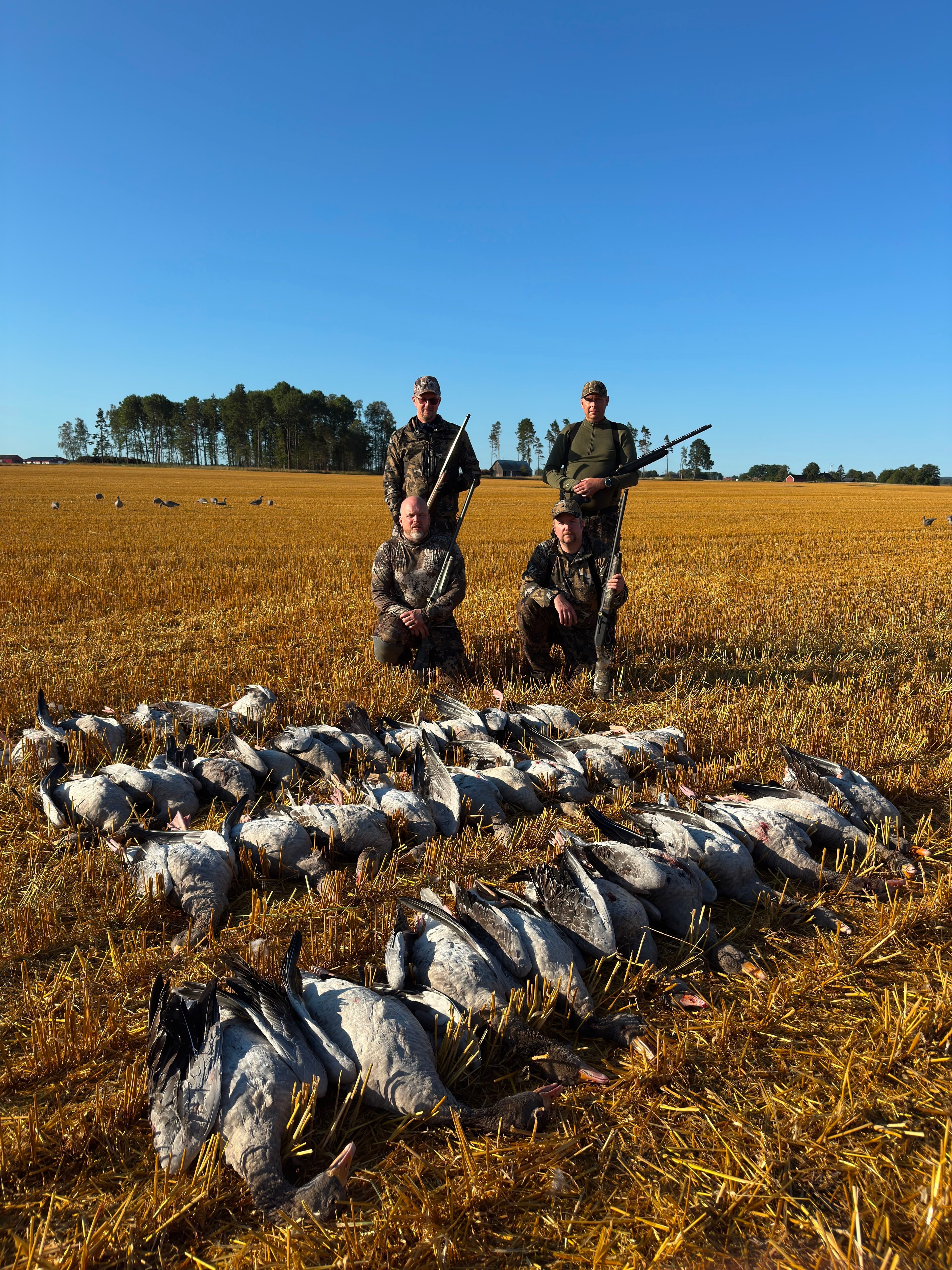 WildExperience Goose Hunt in Kalmar & Öland (18–21 August) 6