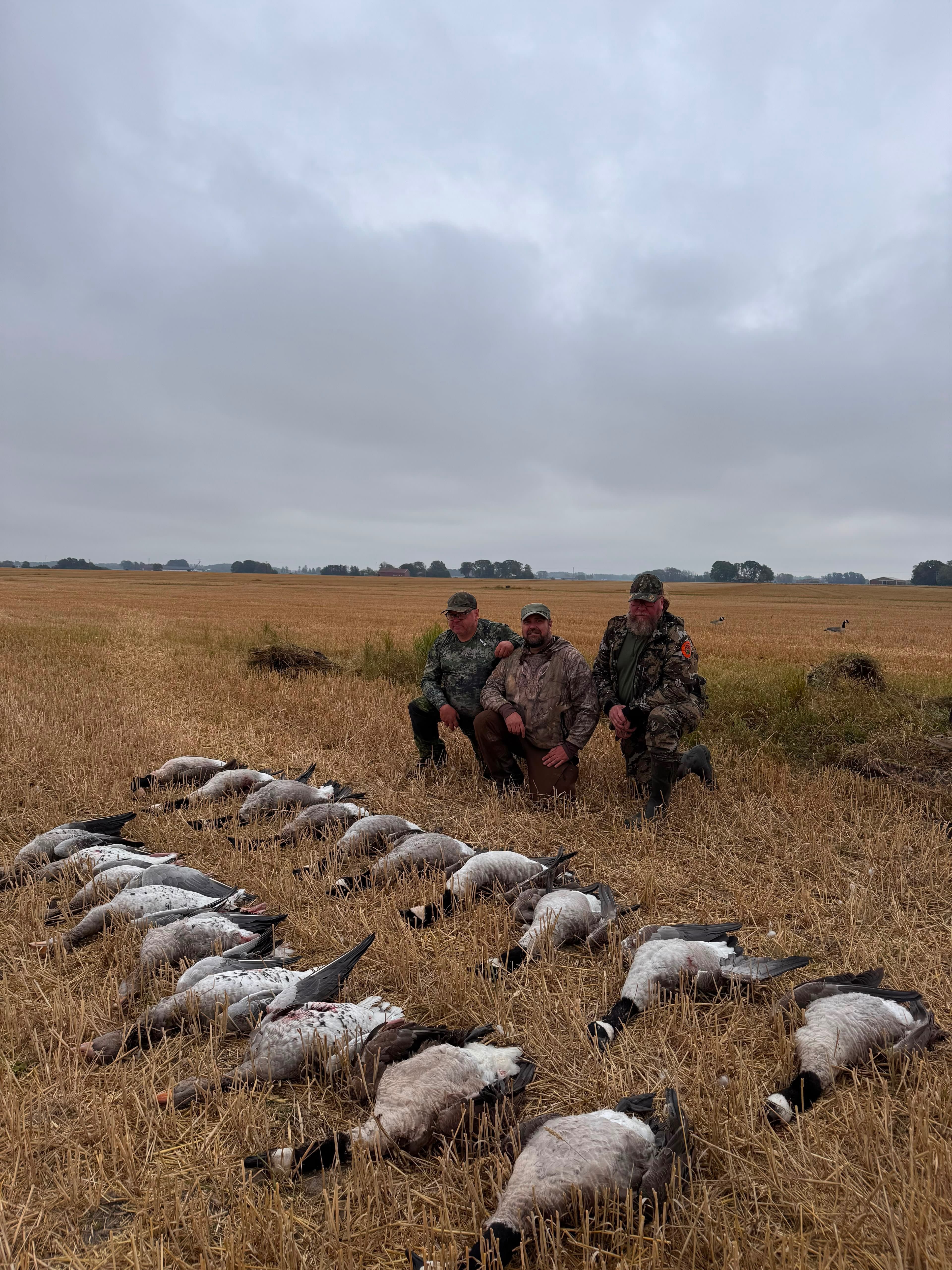 WildExperience Goose Hunt in Kalmar & Öland (18–21 August) 3