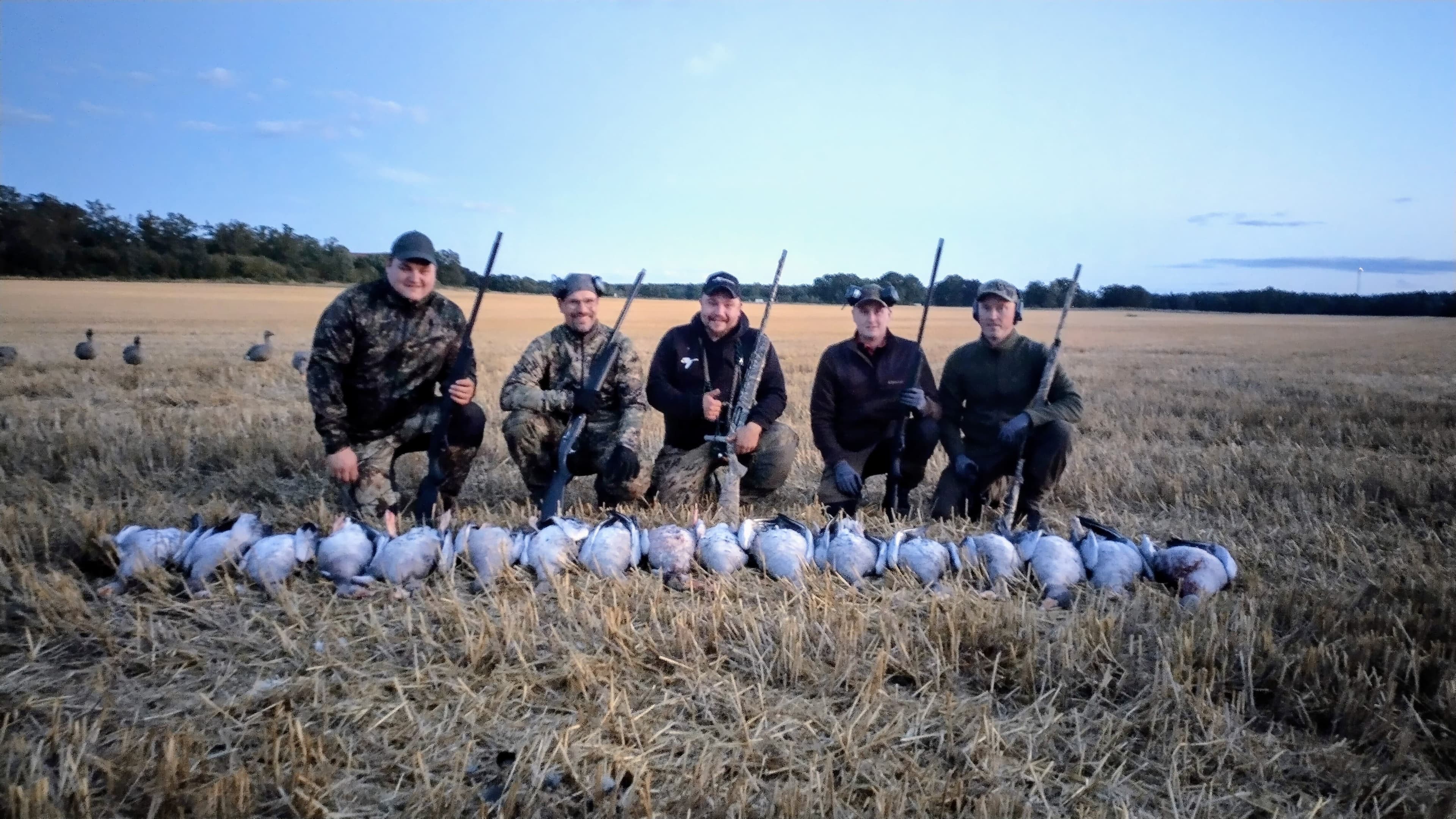 WildExperience Goose Hunt in Kalmar & Öland (18–21 August) 4