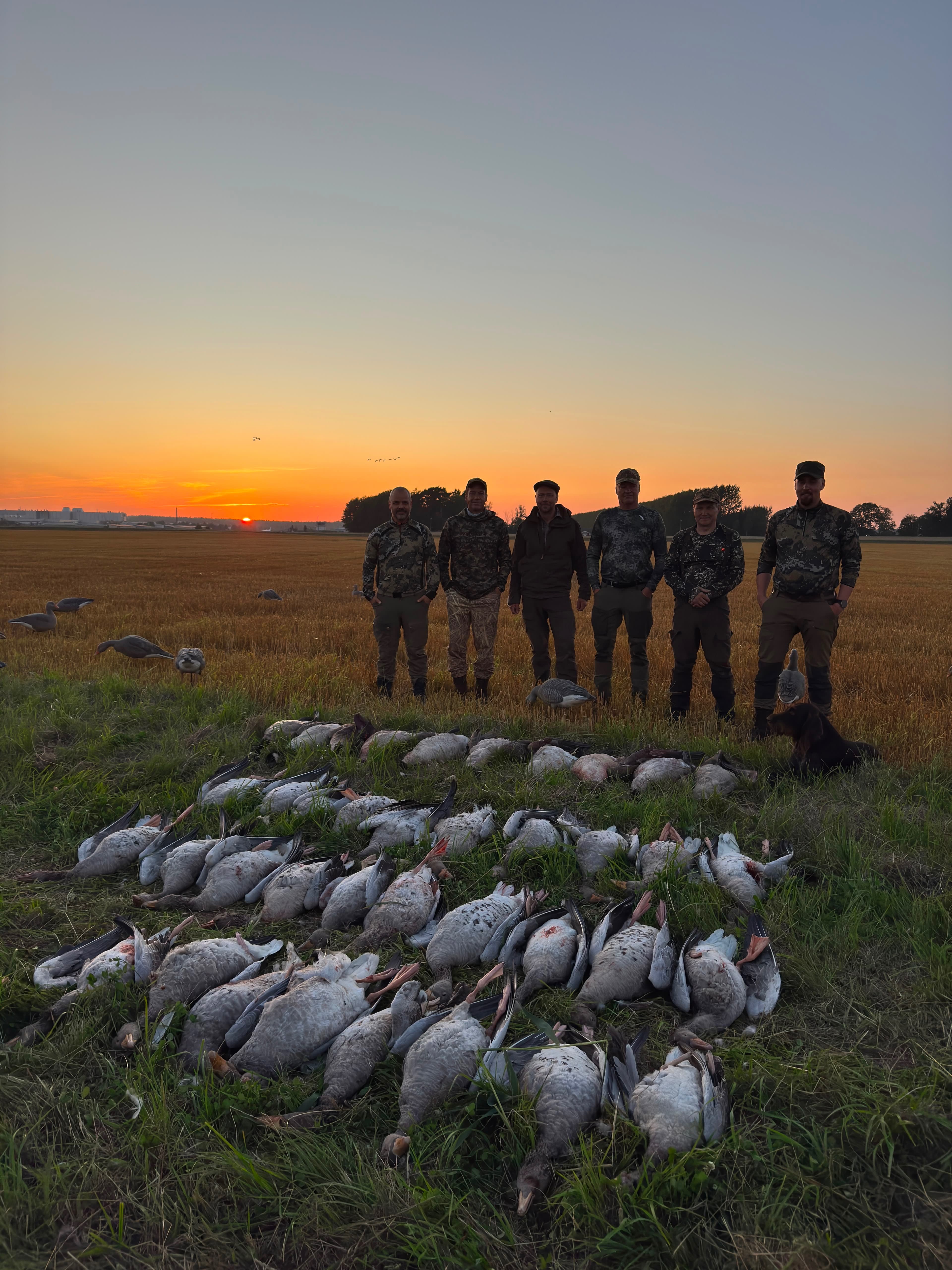 WildExperience Goose Hunt in Kalmar & Öland (18–21 August) 5
