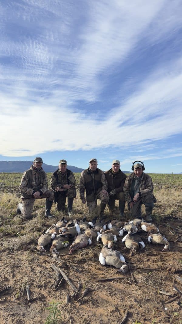 Bird Hunting Trip in South Africa 5