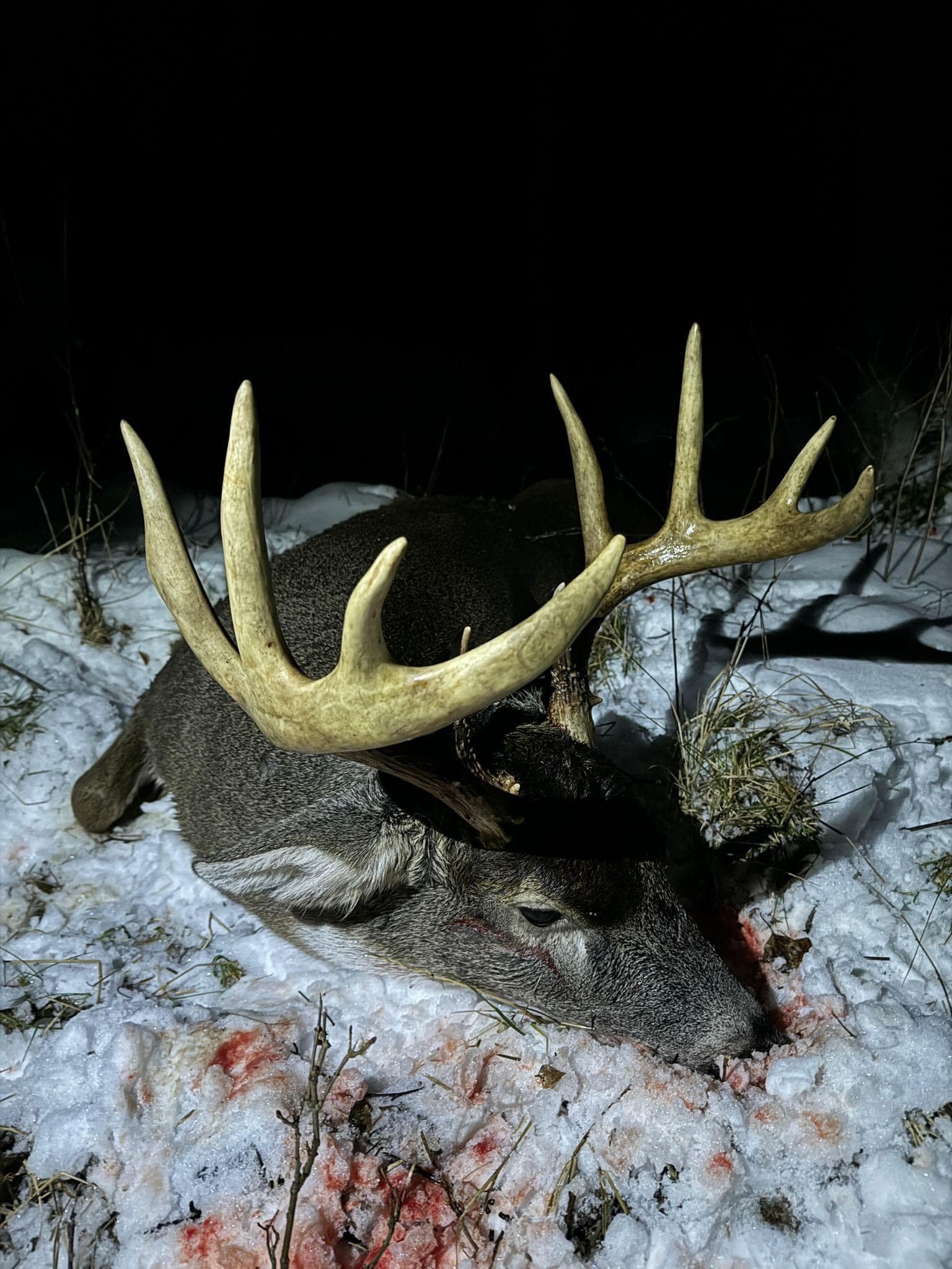 Guided Deer Hunting in Perniö, Salo, Finland 5
