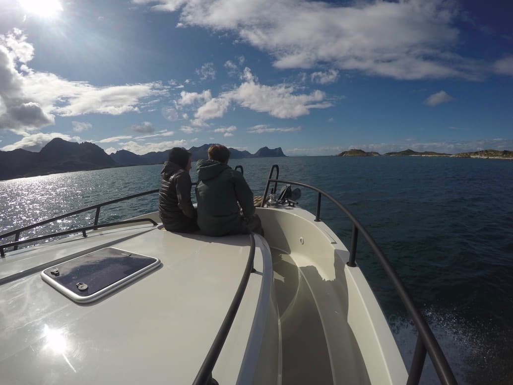 Arctic Boat Safari in Senja's Fjords – Sea Eagles and Unique Coastal Wildlife 6