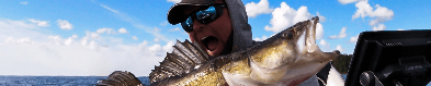Fish Like a Pro – Guided Premium Fishing Day in the Gulf of Finland Archipelago