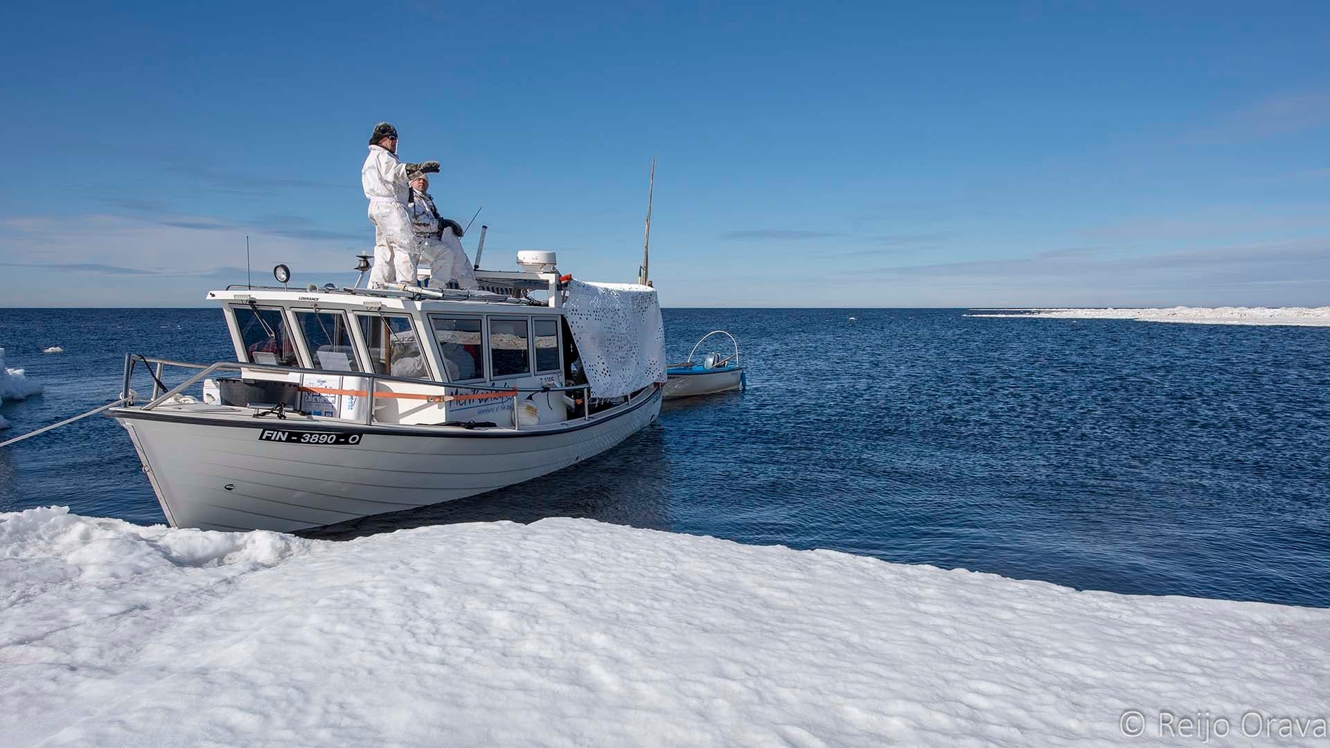 Seal Hunting and Seal Photography Tour by Boat and Hovercraft 6