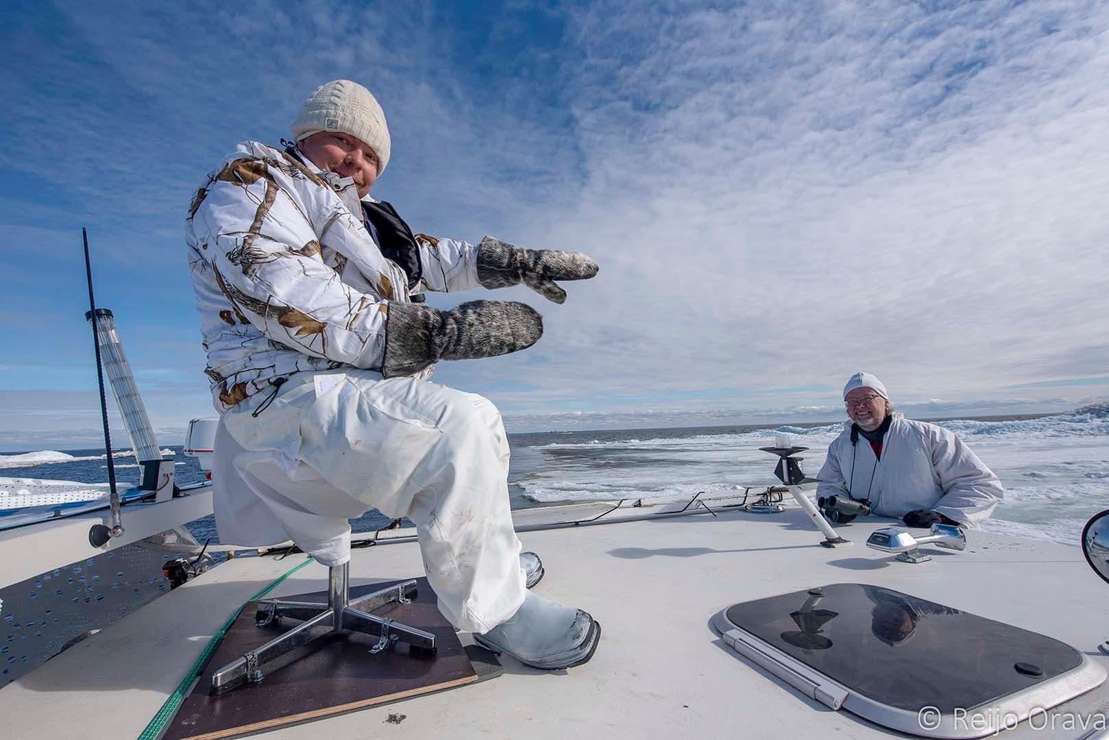 Seal Hunting and Seal Photography Tour by Boat and Hovercraft 5