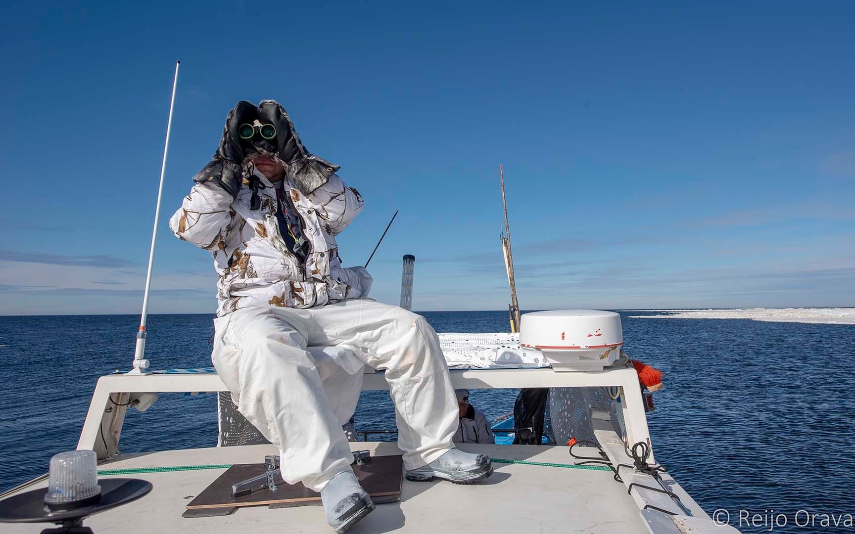 Seal Hunting and Seal Photography Tour by Boat and Hovercraft 2