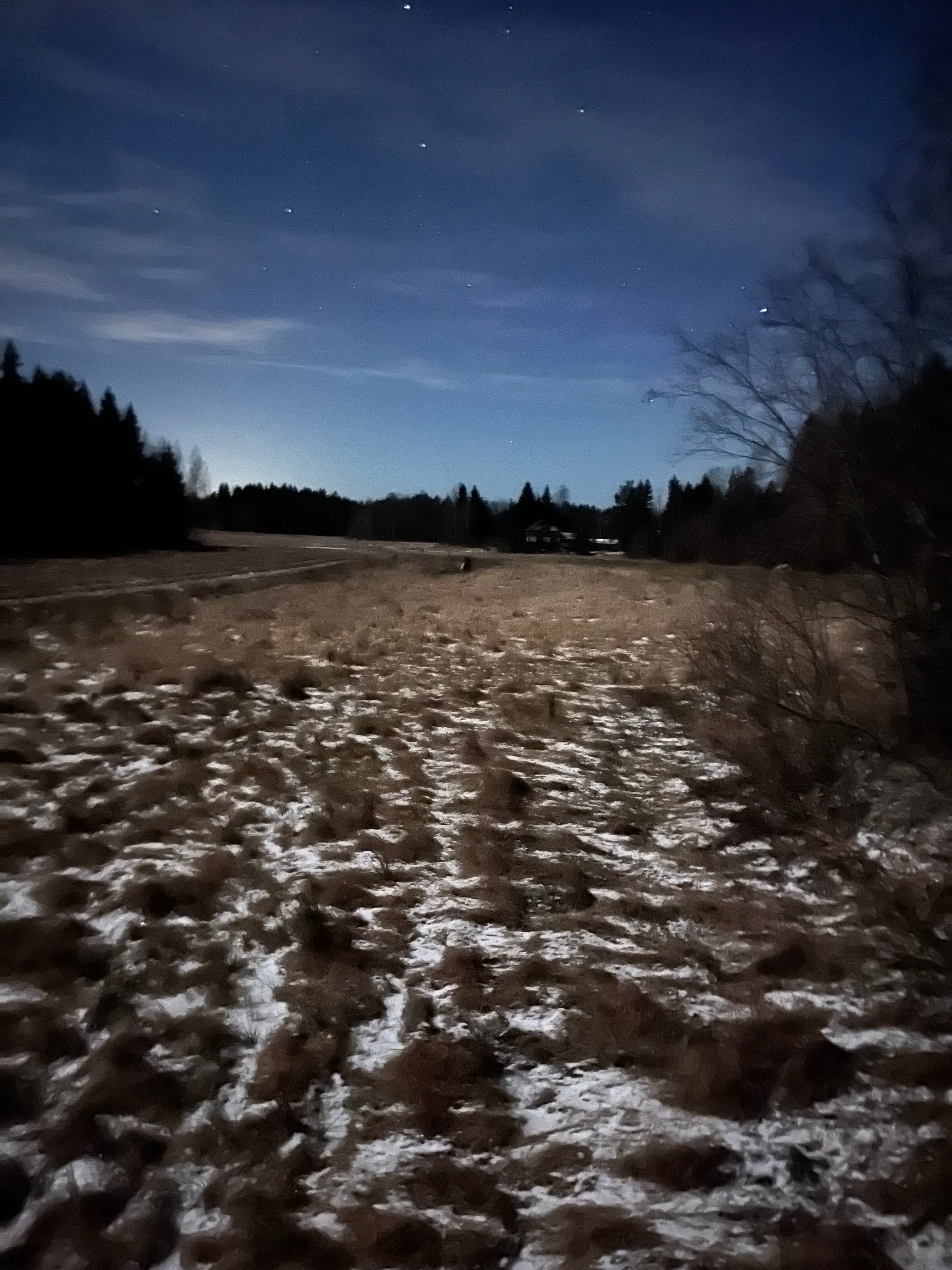 Huittisten jänispassi